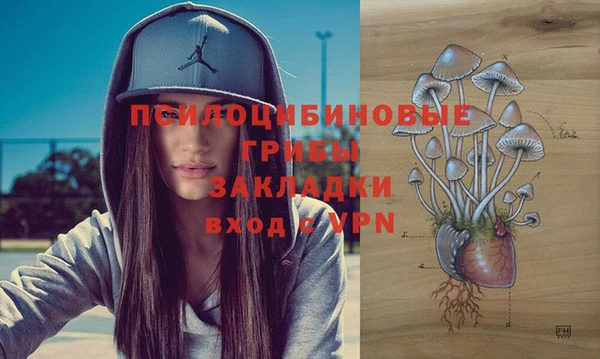 спайс Каменка