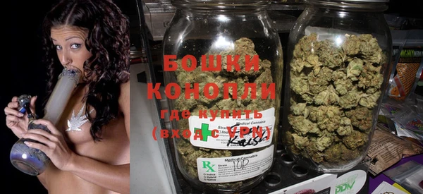 спайс Каменка