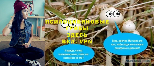 меф Каменногорск