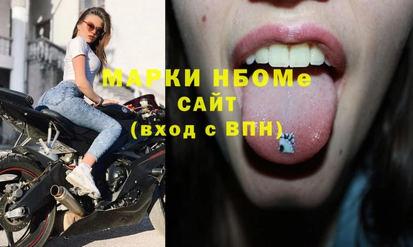 спайс Каменка