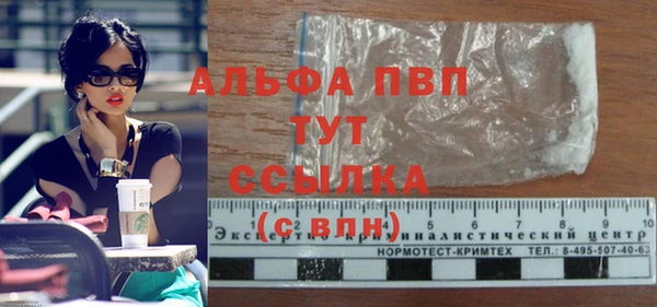 спайс Каменка