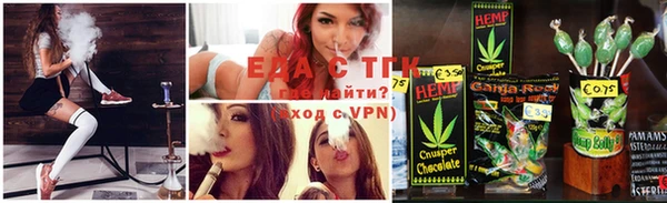 спайс Каменка