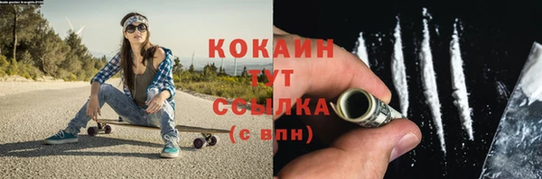 спайс Каменка
