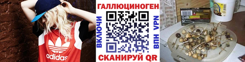 Купить  Заволжье  Галлюциногенные грибы MAGIC MUSHROOMS 